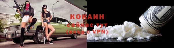 гидра Белоозёрский