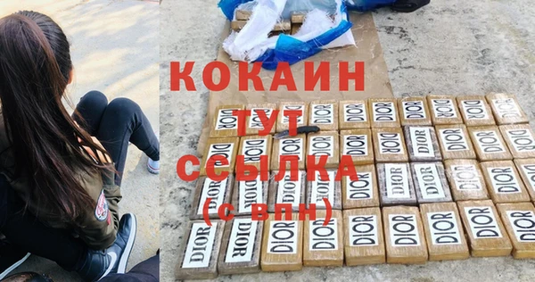 гидра Белоозёрский